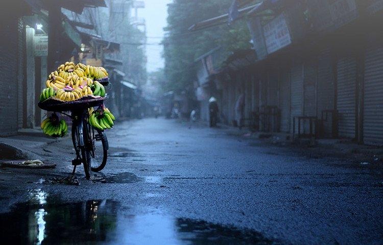 Đất trời vào đông vương chút gì đó u ám, ẩm mốc nhưng lại khiến nhiều người thích mê mẩn.