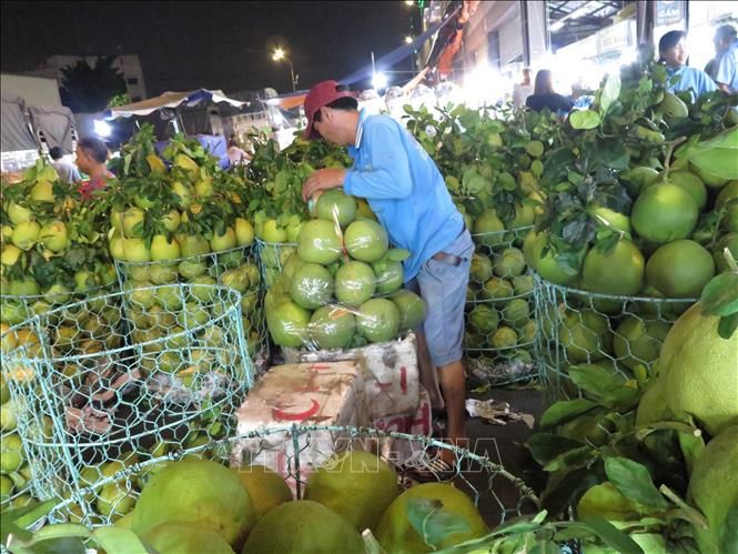 Đi chợ đầu mối hay chợ quê để tiết kiệm kha khá