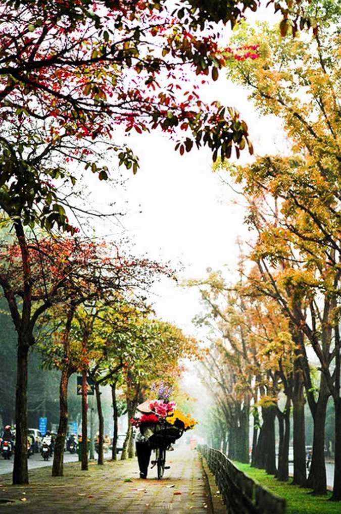 The beauty of Hanoi's autumn always carries a sad label