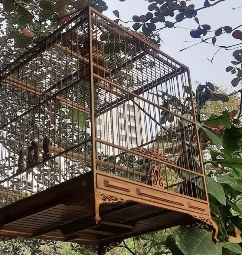 Nam Chim cảnh (Bờ Hồ)