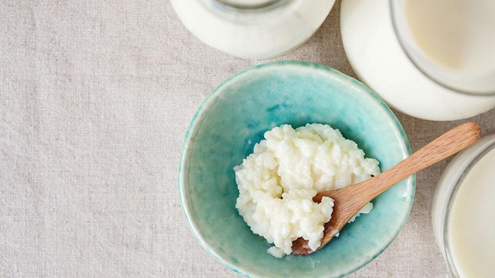 Nấm sữa Kefir