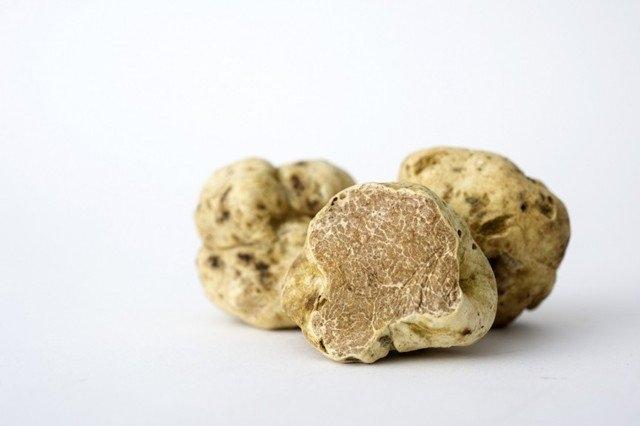 Nấm truffle trắng