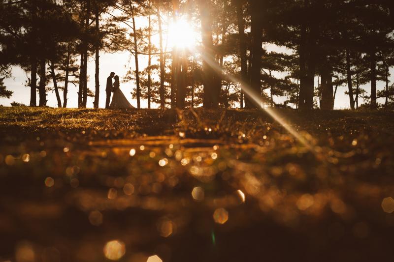 Nấm Wedding