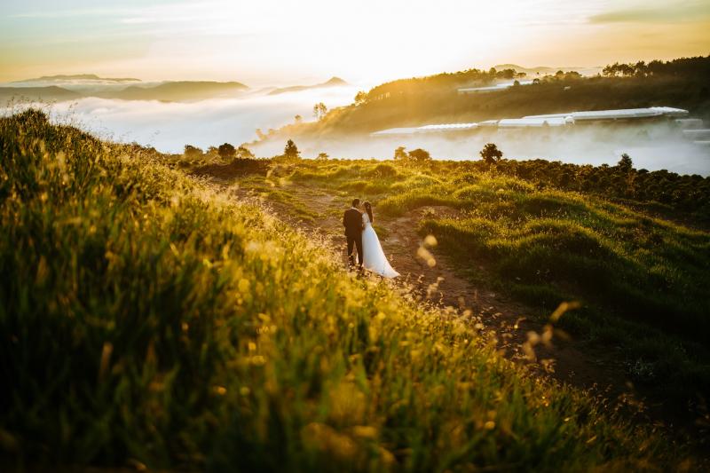 Nấm Wedding