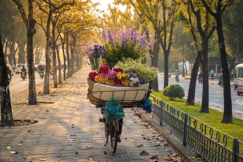 Nắng mùa thu trong vắt, đẹp mơ màng