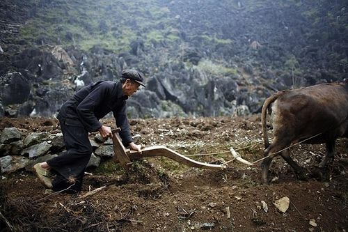 Chiếc cày đặc biệt