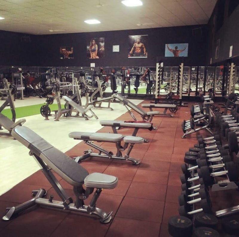 New Day Gym