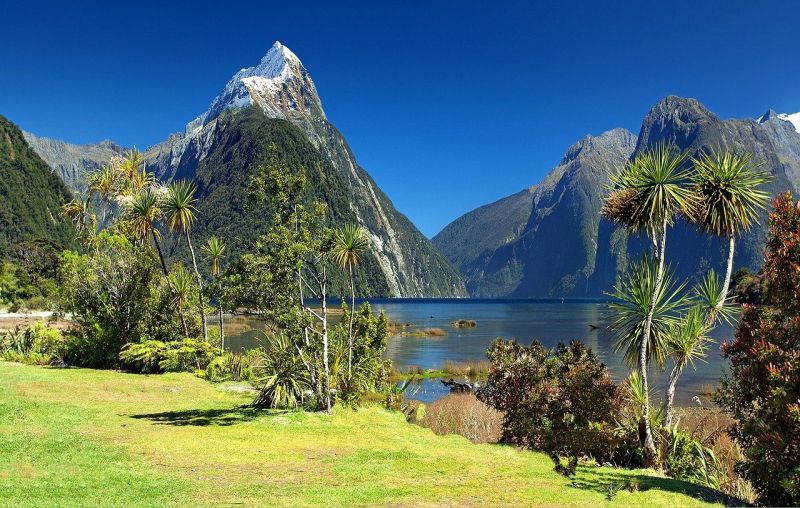 New Zealand