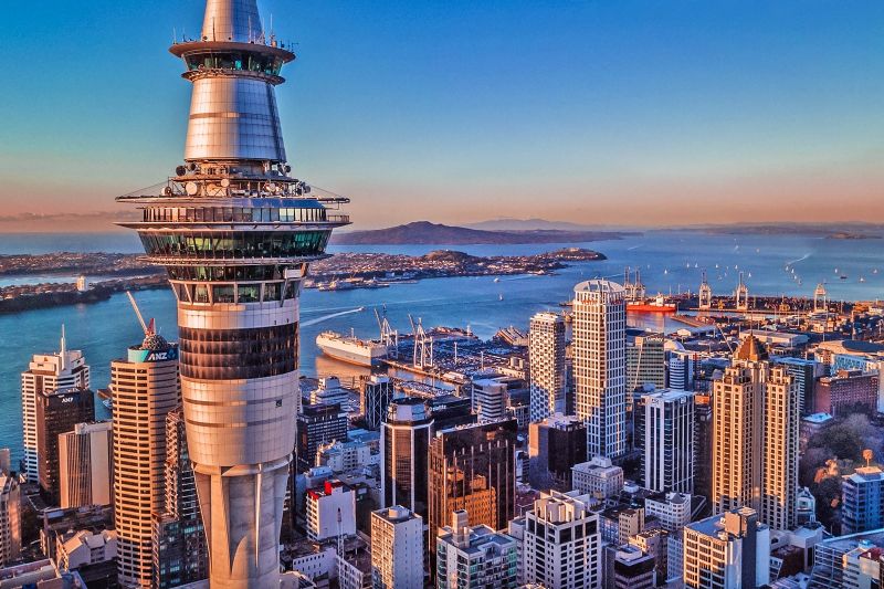 Ở New Zealand, số lượng các hành vi tham nhũng xảy ra trong khu vực tư rất ít