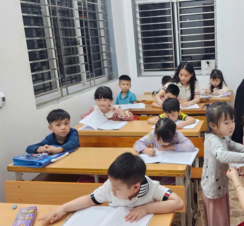 Newline English Centre