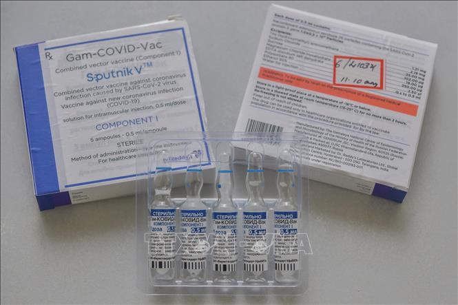 Vaccine Sputnik V ngừa COVID-19 của Nga. (Ảnh: AFP/TTXVN)