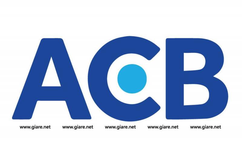 Ngân hàng ACB chính thức đi vào hoạt động kinh doanh ngày 4 tháng 6 năm 1993.