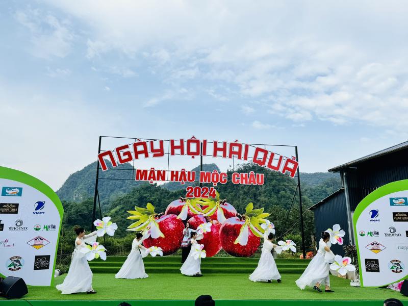 Ngày hội hái quả truyền thống tại Mộc Châu