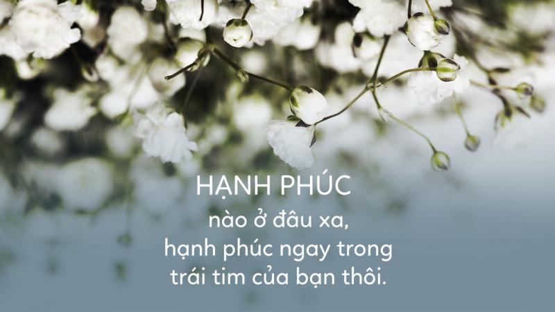 Ngày Quốc tế hạnh phúc 20-3