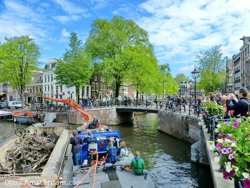 Nghề câu xe đạp ở Amsterdam