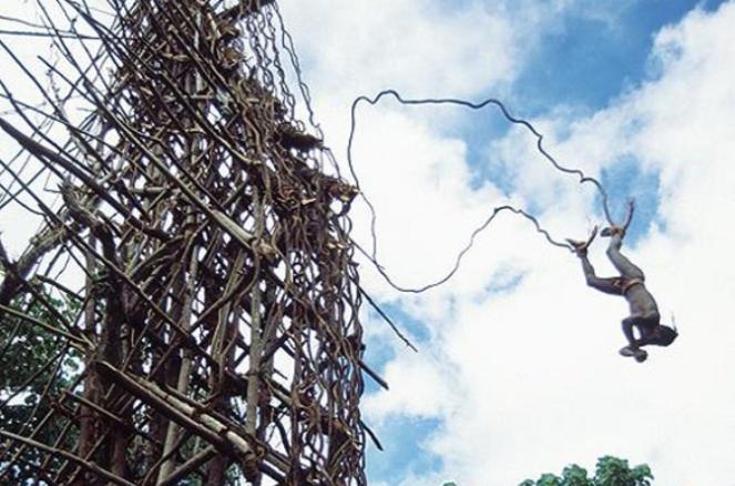 Theo người dân bộ tộc Vanuatu, nghi lễ này được thực hiện để cầu mong cho vụ mùa năm đó sẽ bội thu, nếu người nhảy xuống từ độ cao càng cao thì vụ mùa càng thắng lợi.