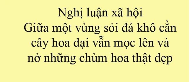 Ảnh minh họa (Nguồn internet)