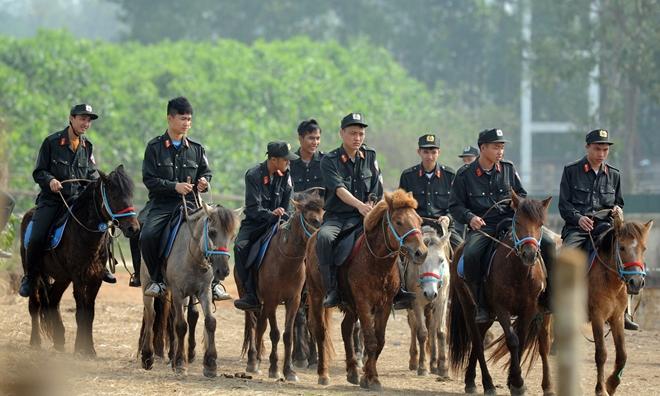 Ngựa biên phòng