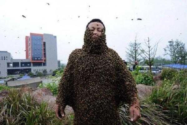 Anh She Ping bị phủ kín toàn thân với 331.000 con ong