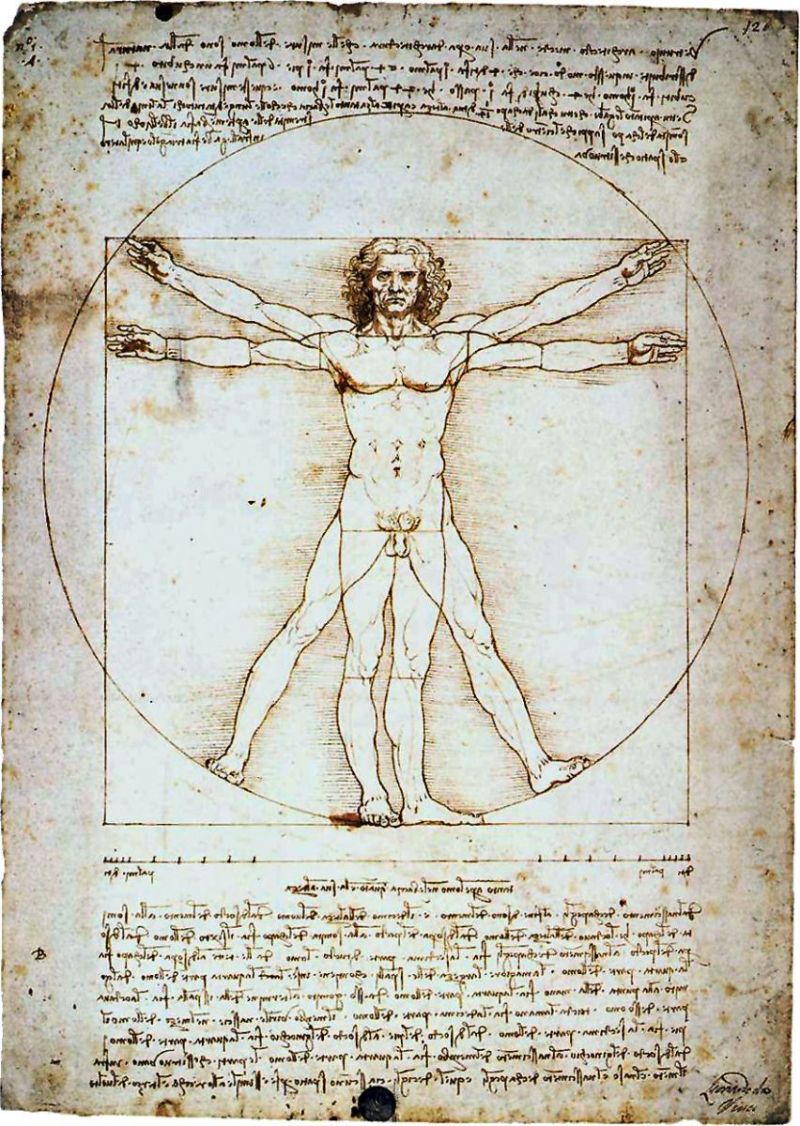 The Vitruvian Man