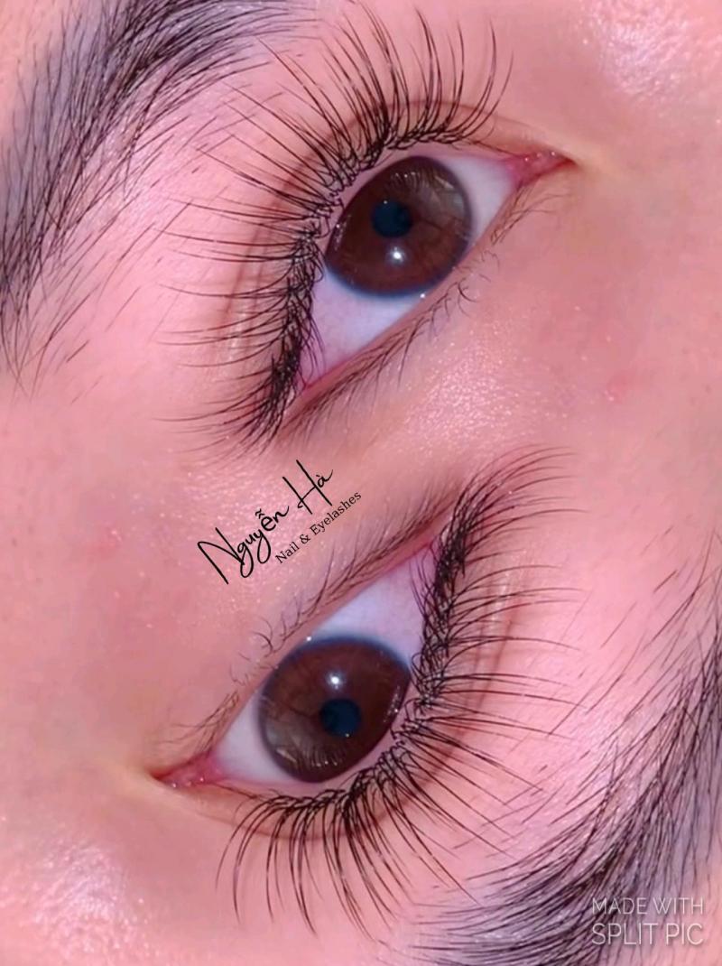 Nguyễn Hà Eyelash