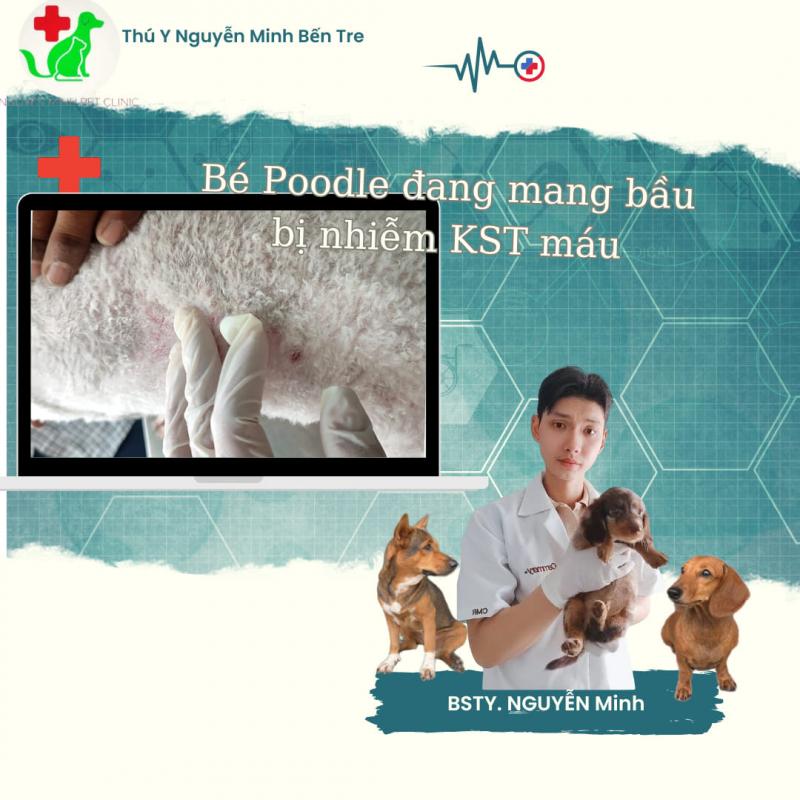 Nguyễn Minh Pet Clinic