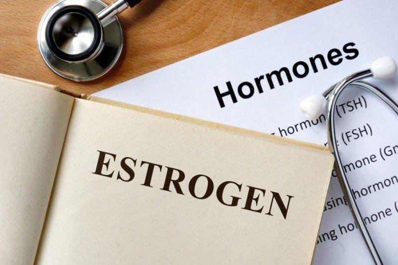 Nồng độ estrogen tăng cao là nguyên nhân chính gây u xơ tử cung