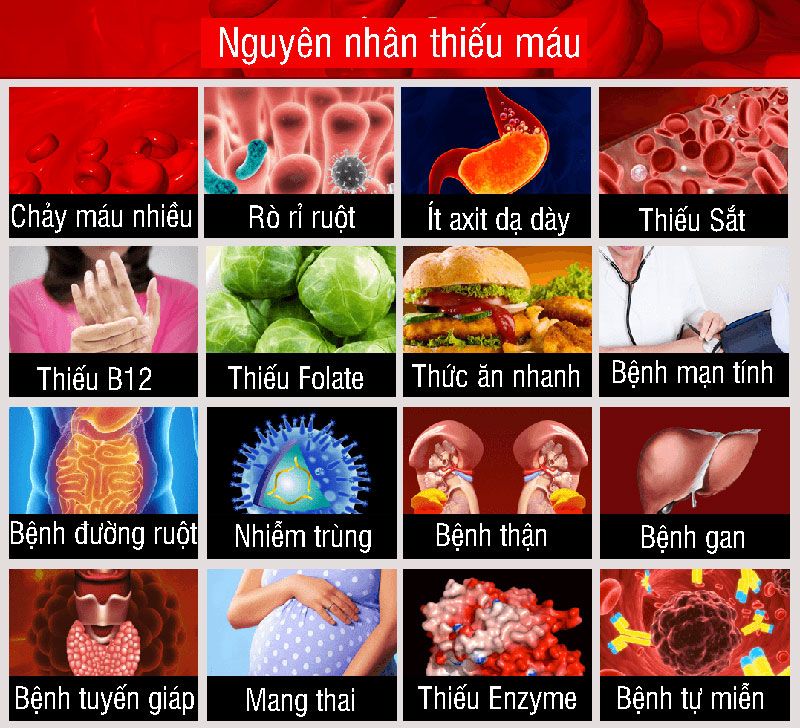 Bệnh Thiếu Máu Là Gì 