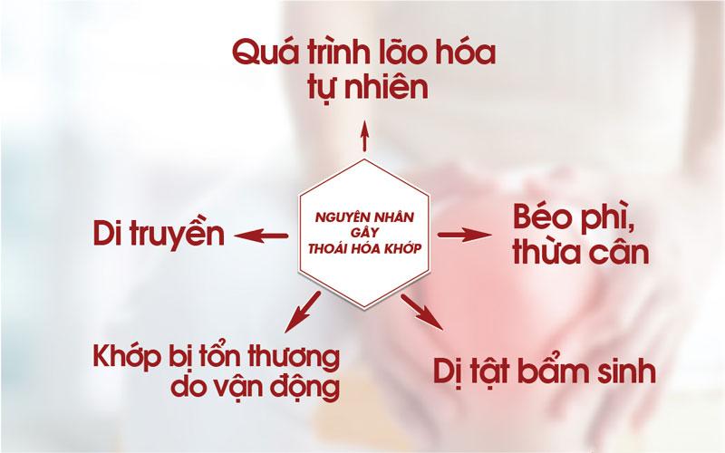 Nguyên nhân gây thoái hóa khớp