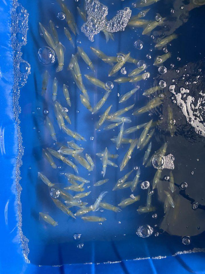 Nhà Hàng Biển Đông