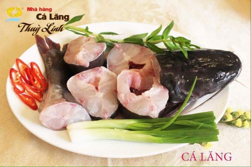 Nhà hàng cá lăng ngon nhất Hà Nội