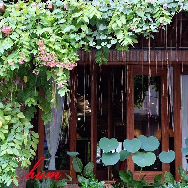 Top 13 nhà hàng chay được yêu thích nhất tại Sài Gòn
