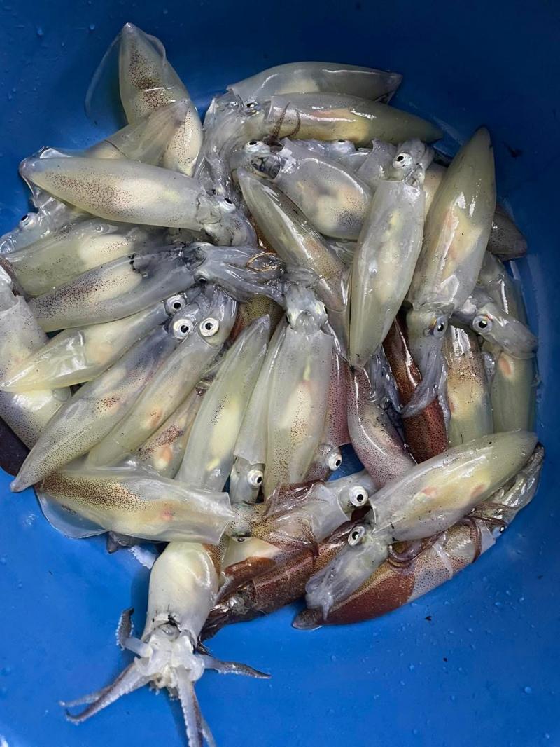 Nhà Hàng Đàn Tuyết