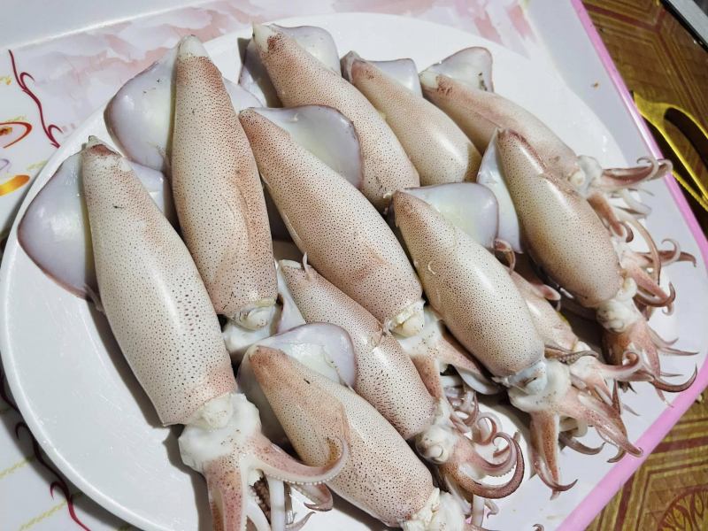 Nhà Hàng Đàn Tuyết