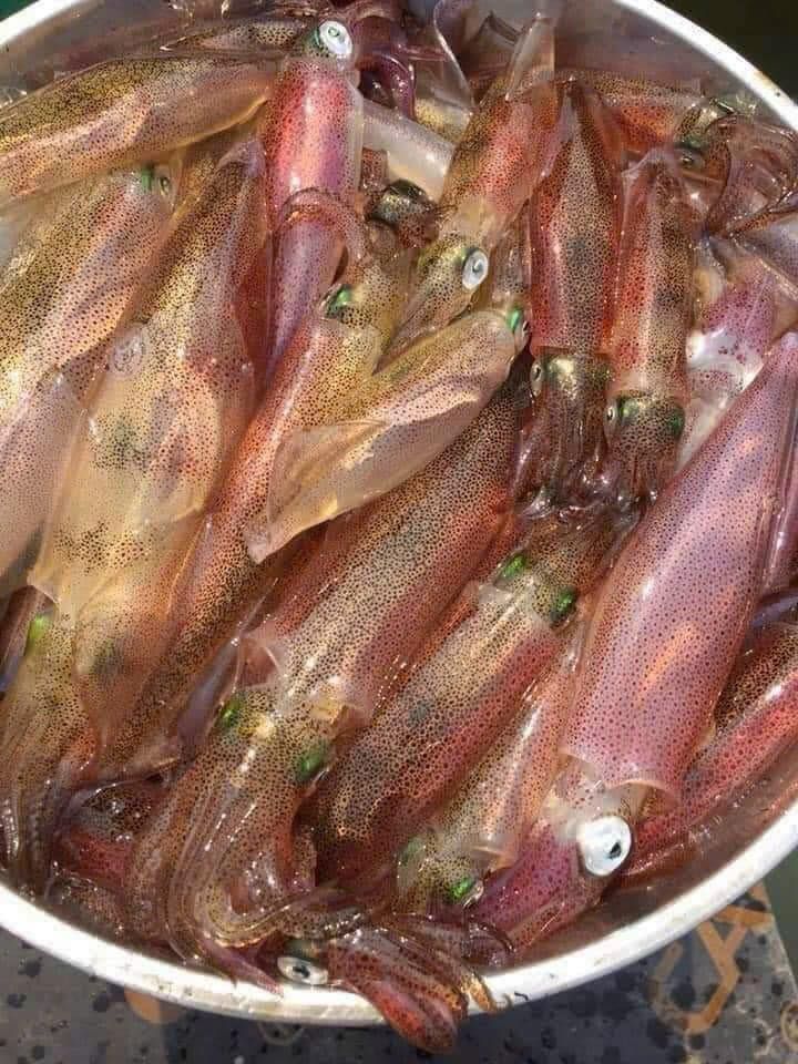 Nhà hàng Độ Tuyết