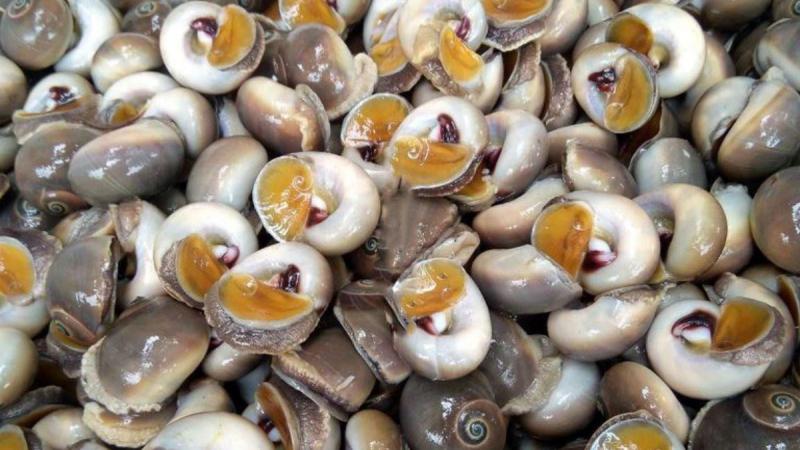 Nhà hàng hải sản Ban Hương