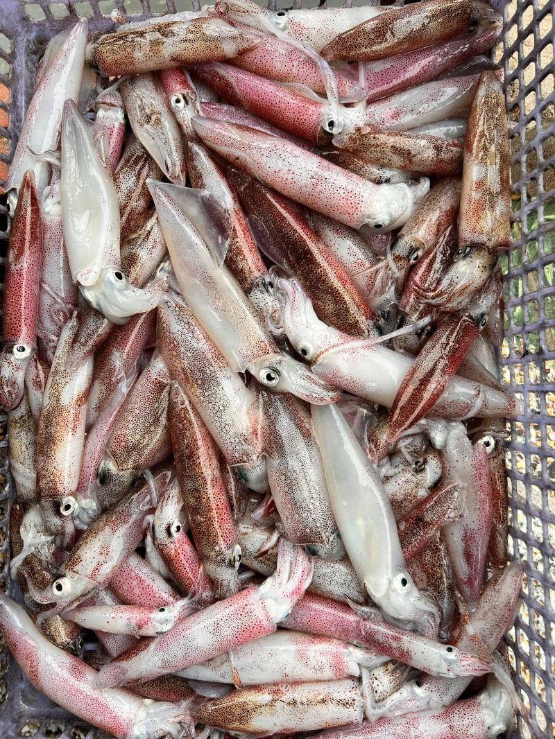 Nhà Hàng Hải Sản Thập Xế 2