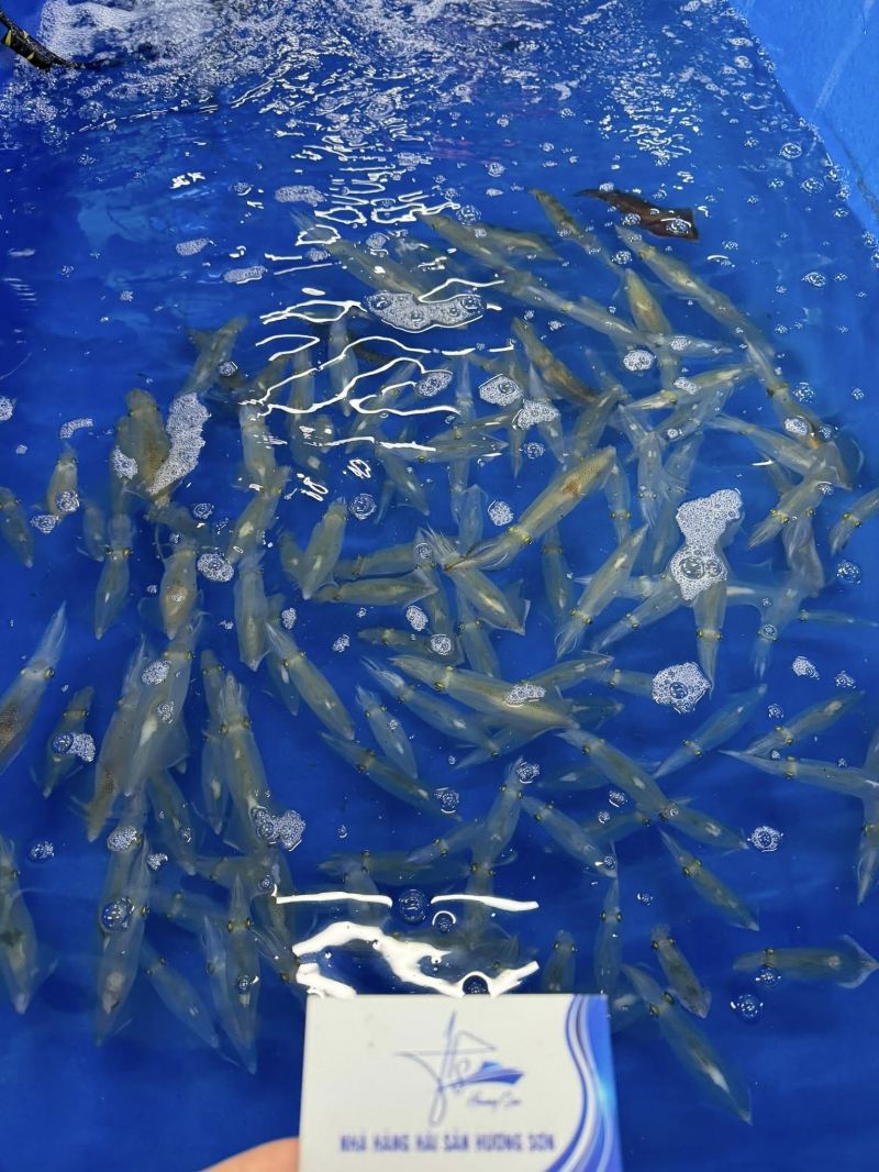 Nhà Hàng Hương Sơn 69