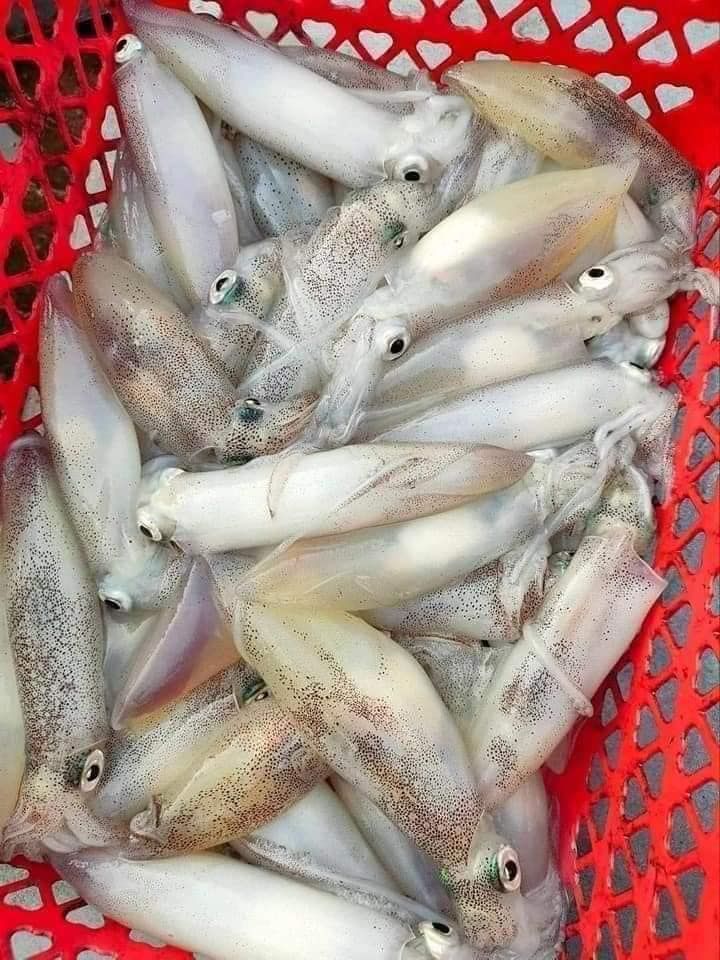 Nhà Hàng Hương Sơn 69