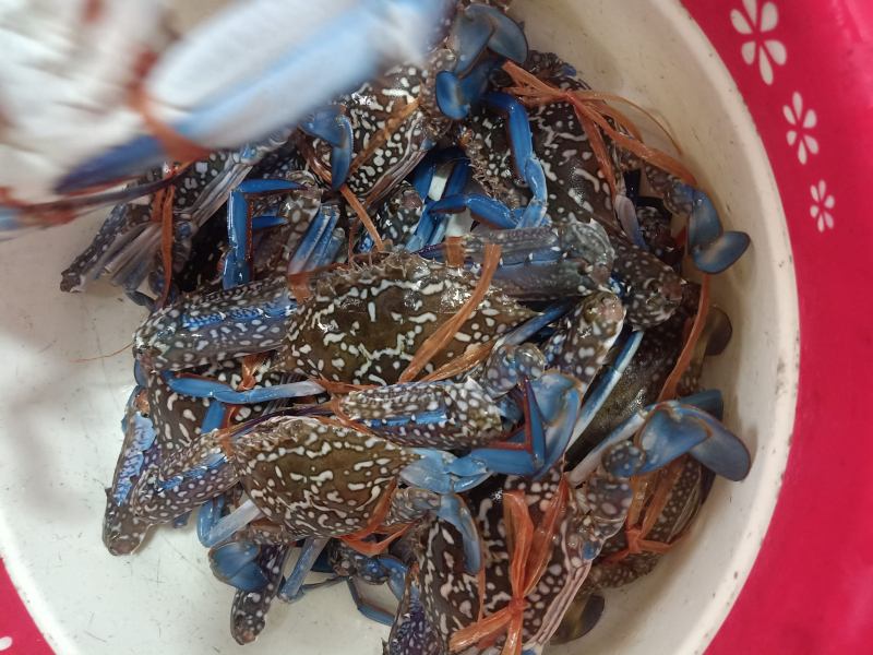 Nhà Hàng Lời Phương