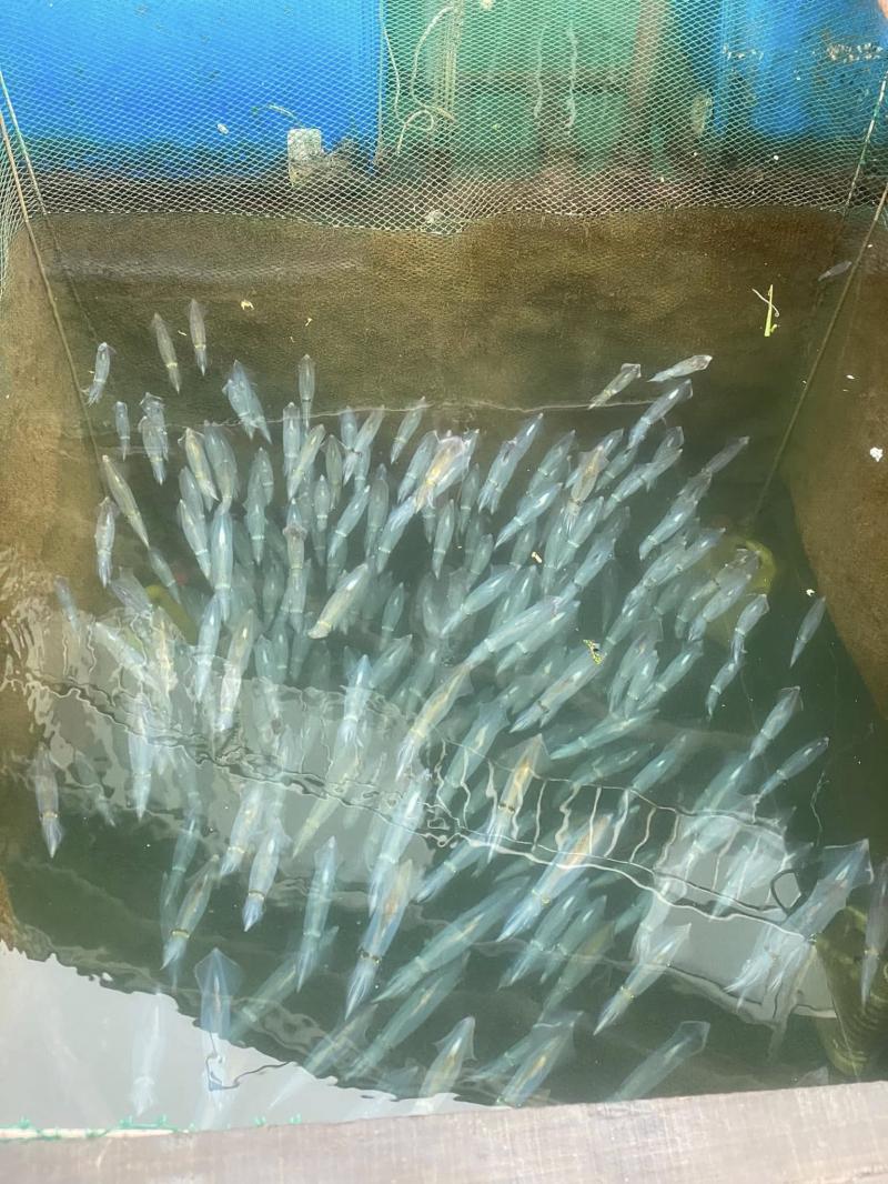 Nhà hàng Luyến Luật