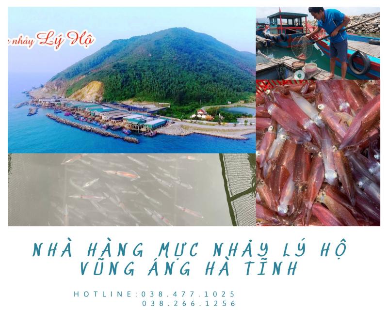 Nhà Hàng Mực Nhảy Lý Hộ Vũng Áng Hà Tĩnh