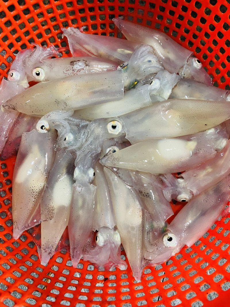 Nhà Hàng Mực Nhảy Tư Thuỷ