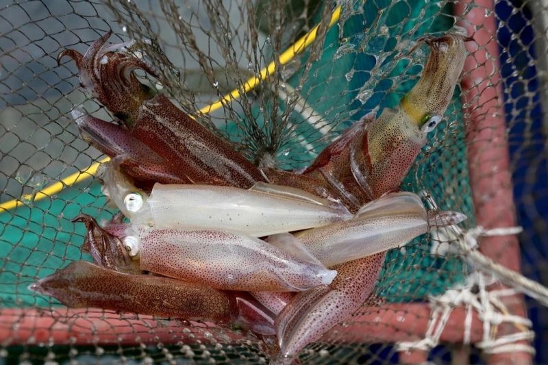 Nhà hàng mực nhảy XUÂN THỌ 207