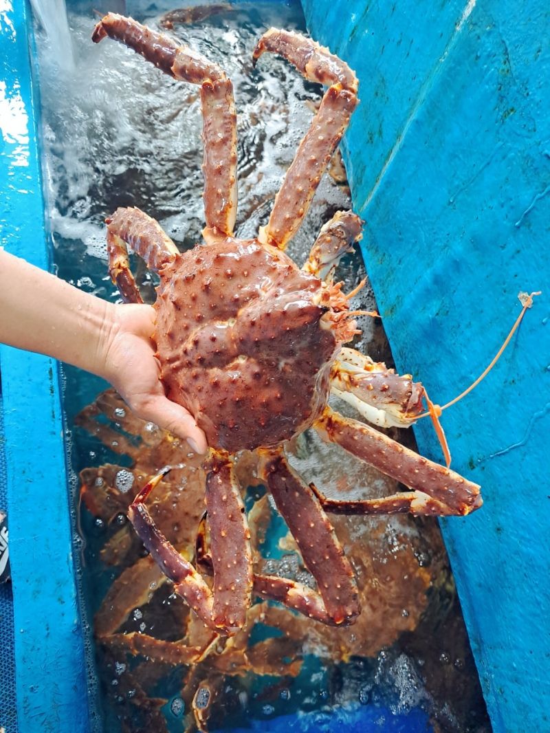 Nhà Hàng Nha Trang Seafoods