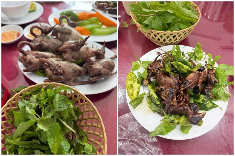 Nhà Hàng Thứ Cò Chim Phủ Lý Hà Nam