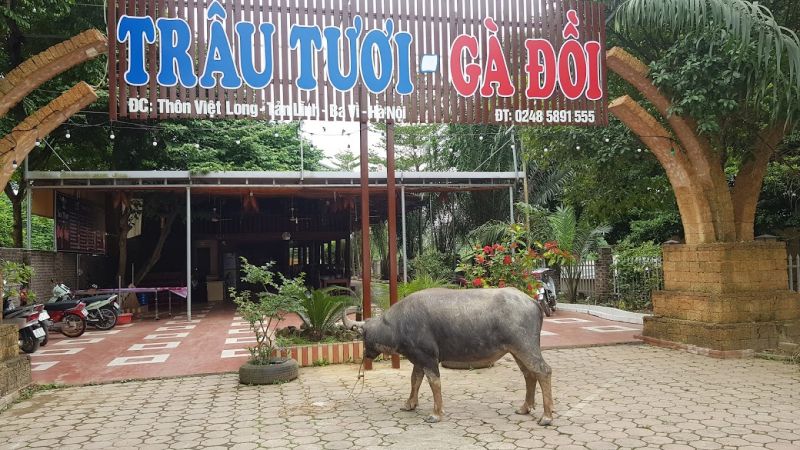 Nhà Hàng Trâu Tươi Bếp Việt