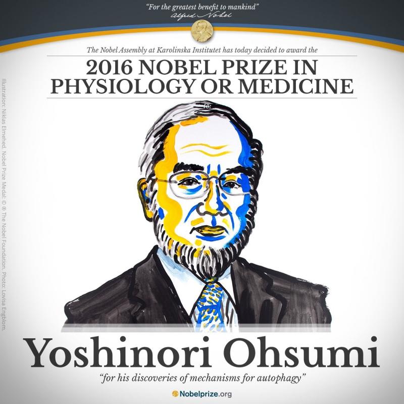 Nhà khoa học người Nhật Yoshinori Ohsumi giành giải Nobel y học