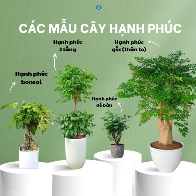 Nhà Mới Xanh