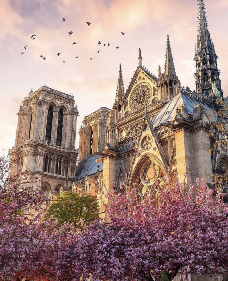 Nhà thờ Đức Bà Paris, Pháp